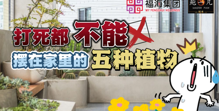鲍一凡老师分享 | 打死都不能摆在家里的五种植物（附加视频）