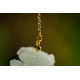 海蓝宝原石吊坠 Aquamarine Original Stone Pendant 海蓝宝原石吊坠 Aquamarine Original Stone Pendant