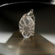 玲珑狐仙吊坠 Nine Tails Fairy Fox Pendant 玲珑狐仙吊坠 Nine Tails Fairy Fox Pendant