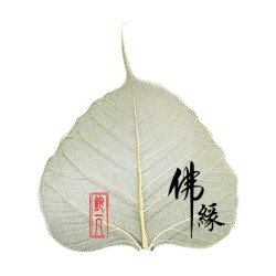 加持成愿菩提叶 加持成愿菩提叶