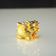 小金龙龟 Small Golden Dragon Turtle 小金龙龟 Small Golden Dragon Turtle