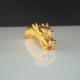 招财龙 Fortune Dragon
