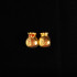 福袋子 Good Fortune Bag