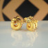 转运金盘龙 Fortune Golden Coiling Dragon