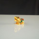 鸿运醒狮 Fortune Lion 鸿运醒狮 Fortune Lion
