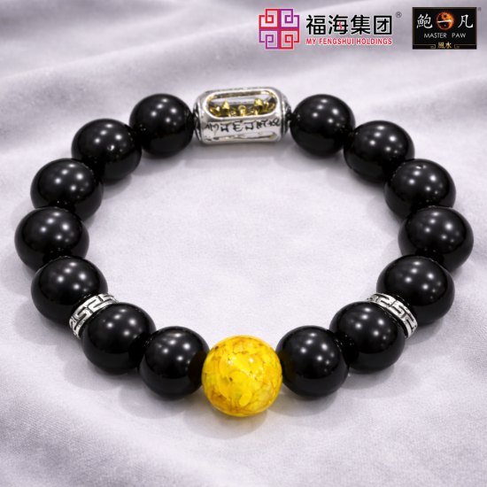 乾坤护法手链 12MM COSMIC GUARDIAN BRACELET 乾坤护法手链 12MM COSMIC GUARDIAN BRACELET