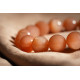 太阳石手链 Sunstone Bracelet 太阳石手链 Sunstone Bracelet
