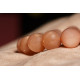 太阳石手链 Sunstone Bracelet 太阳石手链 Sunstone Bracelet
