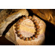 极光23手链 Auralite 23 Bracelet 极光23手链 Auralite 23 Bracelet