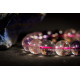 超七手链 Super Seven Bracelet 超七手链 Super Seven Bracelet