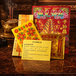 子孙兴旺金 (5包) PROSPEROUS DESCENDANTS JOSS PAPER (5 PACKS)