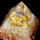 咬钱金蟾蜍奥根 Golden Money Toad Orgonite 咬钱金蟾蜍奥根 Golden Money Toad Orgonite