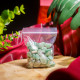 消磁碎水晶:东陵玉 Tumbled Aventurine 消磁碎水晶:东陵玉 Tumbled Aventurine