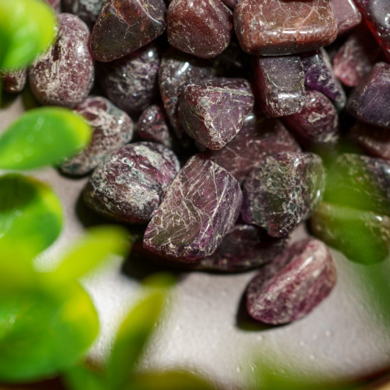 消磁碎水晶:石榴石 Tumbled Garnet 消磁碎水晶:石榴石 Tumbled Garnet