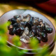 消磁碎水晶:茶水晶 Tumbled Smoky Quartz 消磁碎水晶:茶水晶 Tumbled Smoky Quartz