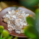 消磁碎水晶:铜发晶 Tumbled Copper Rutilated 消磁碎水晶:铜发晶 Tumbled Copper Rutilated