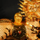 镇宅旺财金麒麟 Feng Shui Prosperous Wealth Golden Kirin 镇宅旺财金麒麟 Feng Shui Prosperous Wealth Golden Kirin