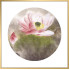 风水画 PT00010 : 秋水芙蓉