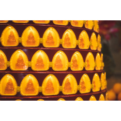 2027 点光明灯服务 Light Offering Dharma Service 2027