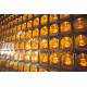 2027 点光明灯服务 Light Offering Dharma Service 2027