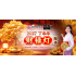 2027丁未年 财禄灯服务 Wealth Light Offering Service 2027